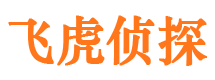 大武口市调查公司